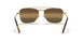 9196G5 - Gold - Polar Clear Gradient Dark Brow