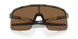 946325 - Green - Prizm Bronze
