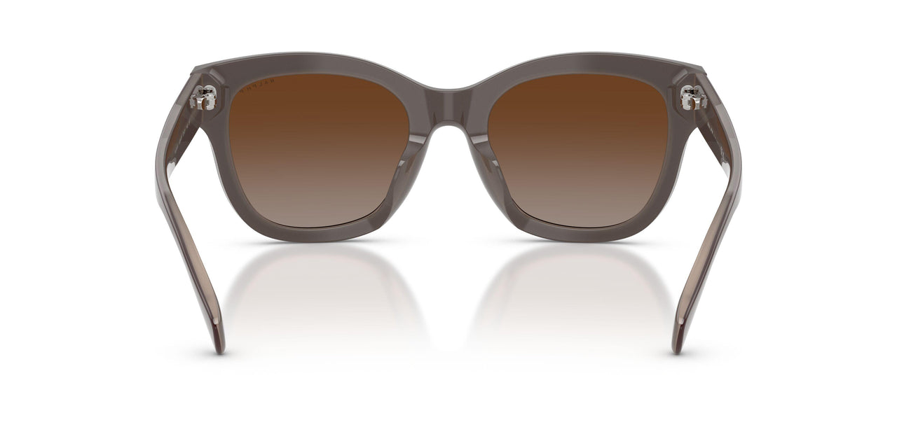 6055T5 - Brown - Polar Gradient Brown