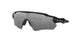 920852 - Polished Black - Prizm Black