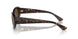 108/73 - Tortoise - Dark Brown