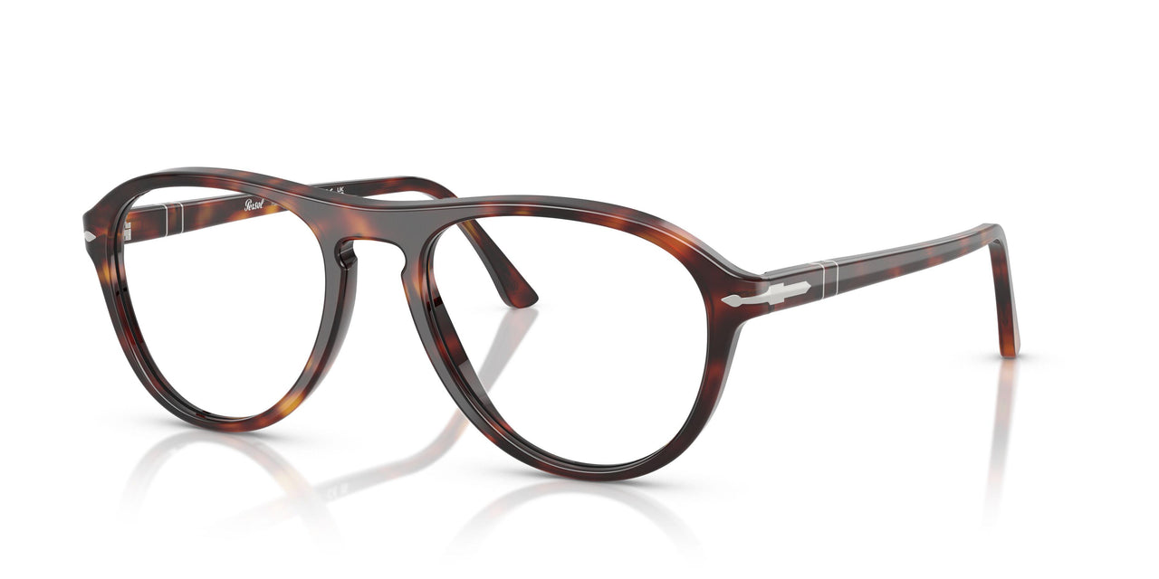 24 - Tortoise