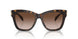 300613 - Tortoise - Brown Gradient