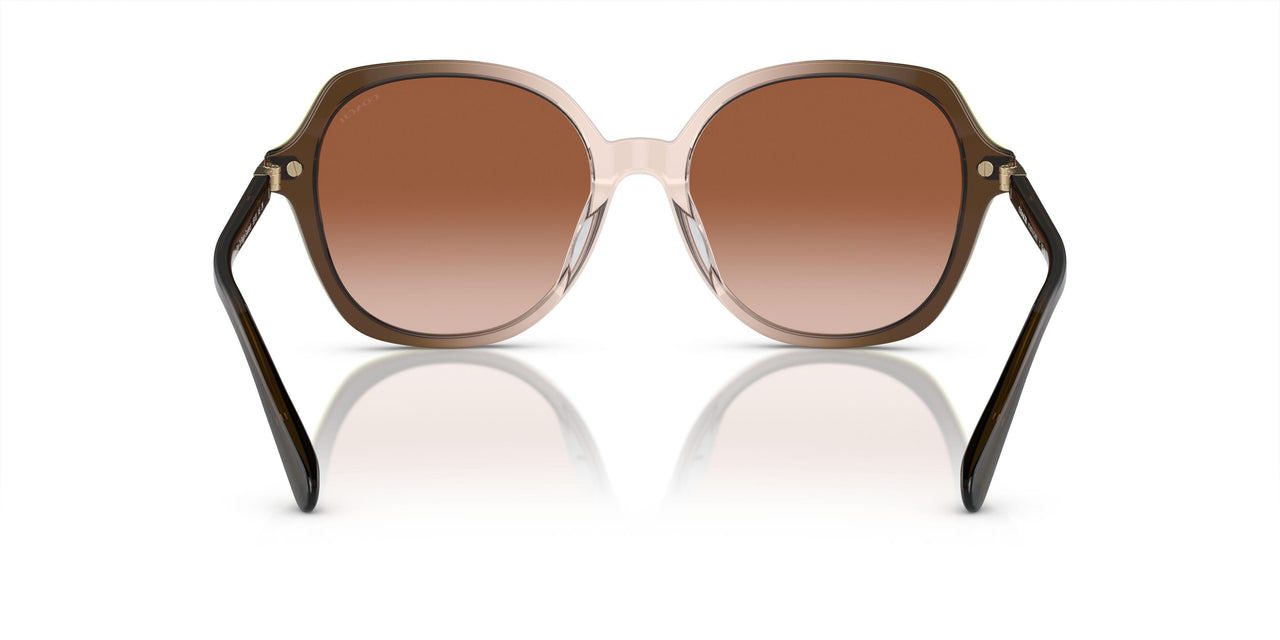 540013 - Olive Beige Gradient - Brown Gradient