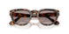 105253 - Tortoise - Violet