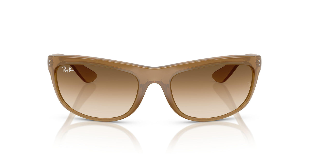 678951 - Brown - Clear Gradient Brown