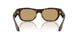 502673 - Tortoise - Brown