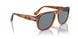 96/56 - Brown - Light Blue