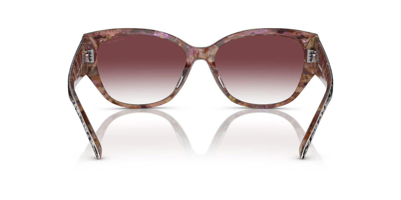 57398H - Tortoise - Purple Clear Gradient
