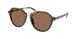 Polo 4223U Sunglasses