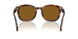 24/33 - Tortoise - Brown