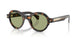 300682 - Tortoise - Green