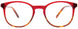 30 - Red & Tortoise