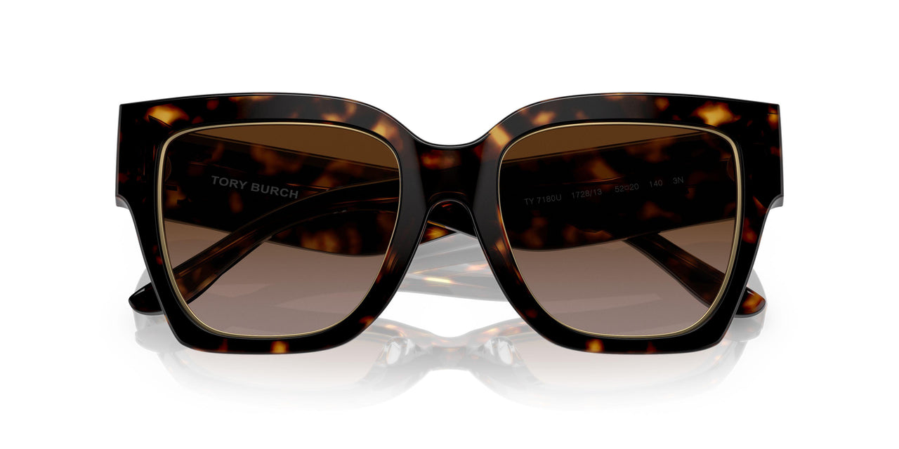172813 - Havana - Brown Gradient
