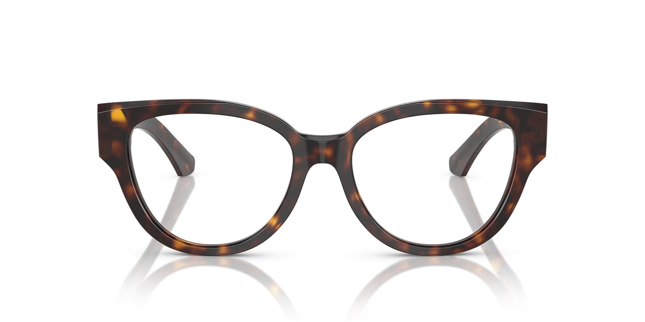 3002 - Brown