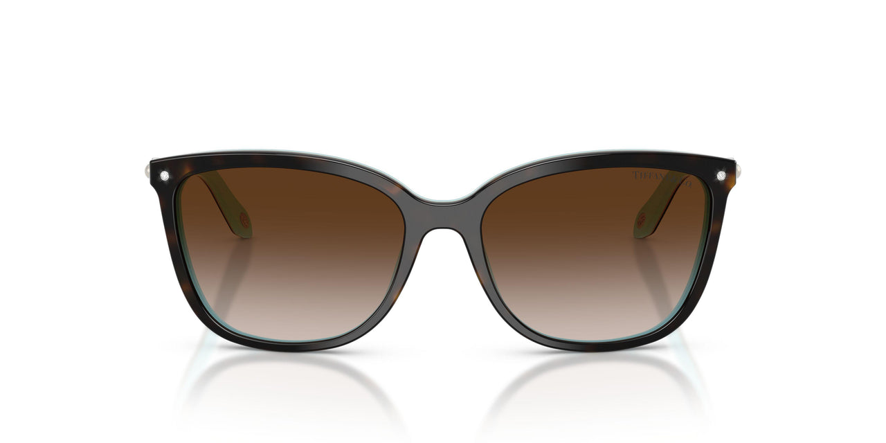 81343B - Havana - Brown Gradient