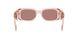 19Q10D - Orange - Light Brown