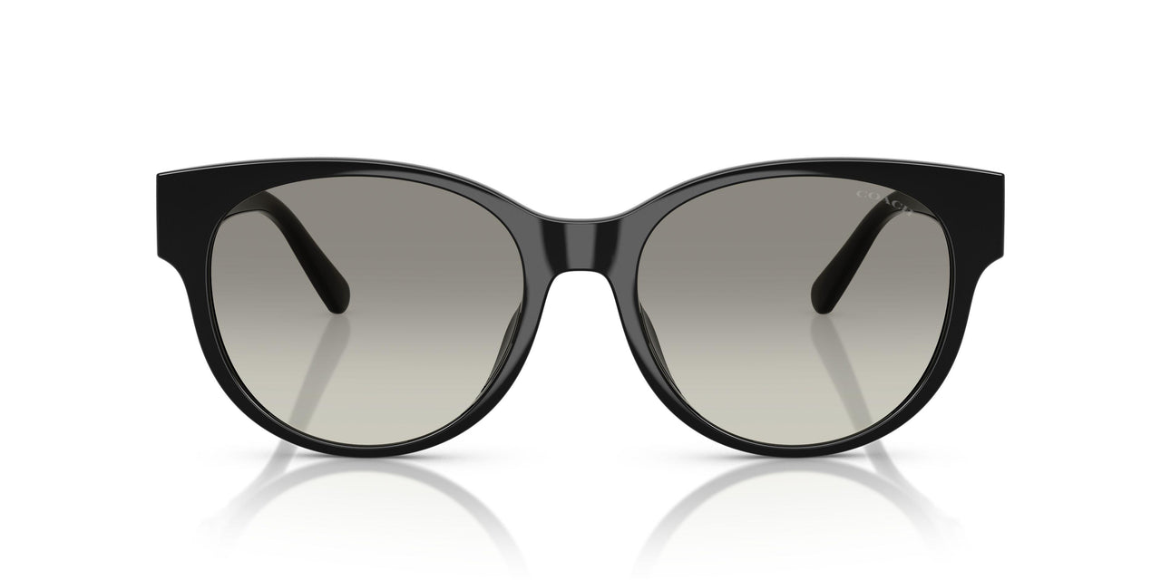 50023C - Black - Grey Gradient