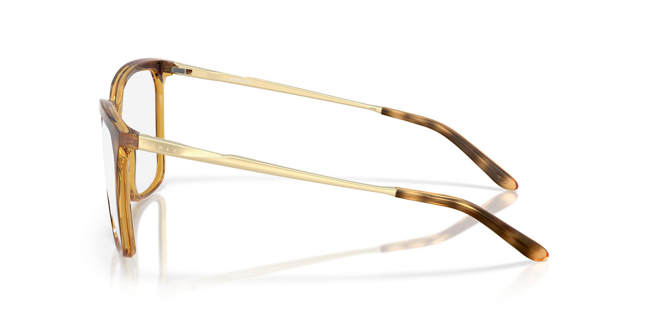 818904 - Brown