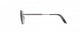 6560 - Plain Ruthenium