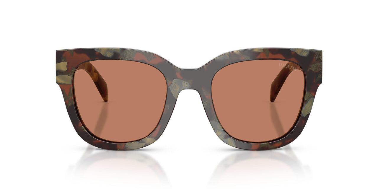 22F90Q - Tortoise - Brown