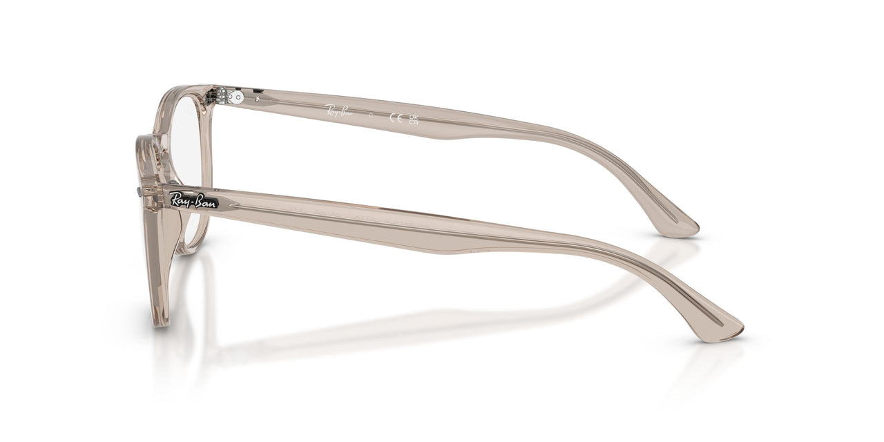 8449 - Brown - Clear