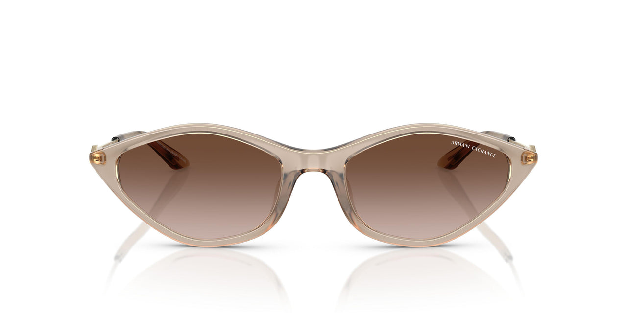 836613 - Brown - Gradient Brown