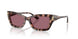 50701A - Tortoise - Violet