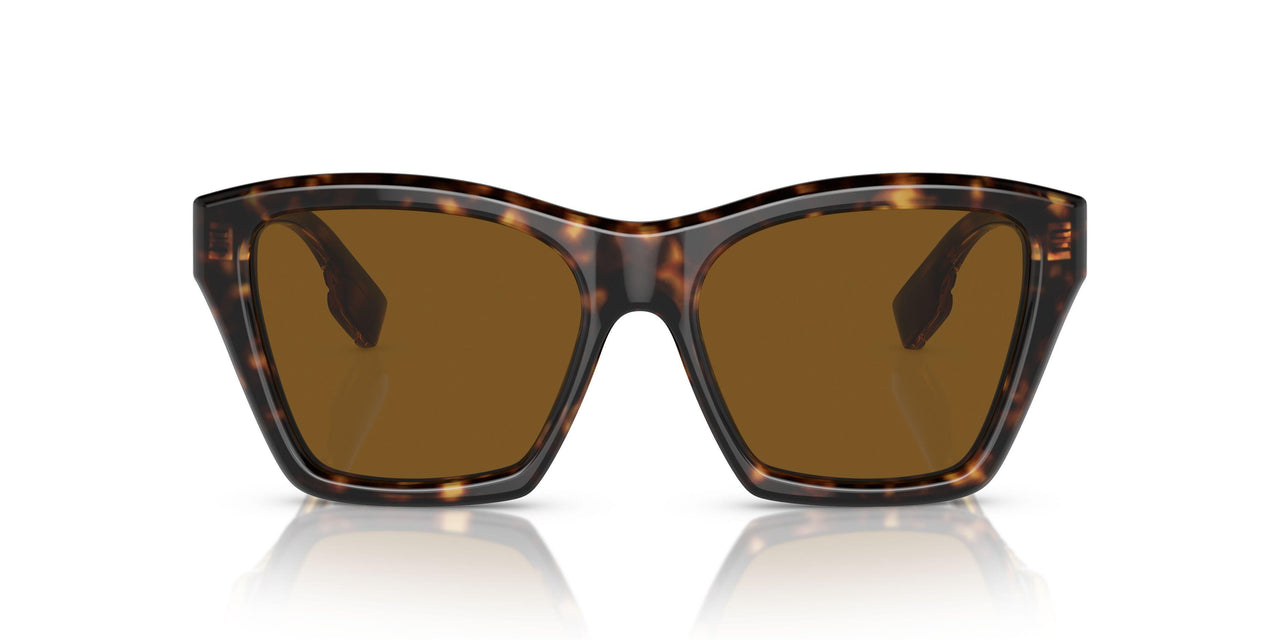 300283 - Brown - Brown Polarized