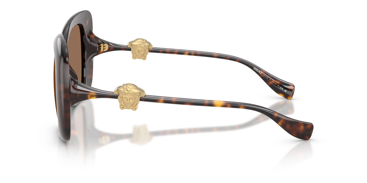 108/73 - Tortoise - Dark Brown