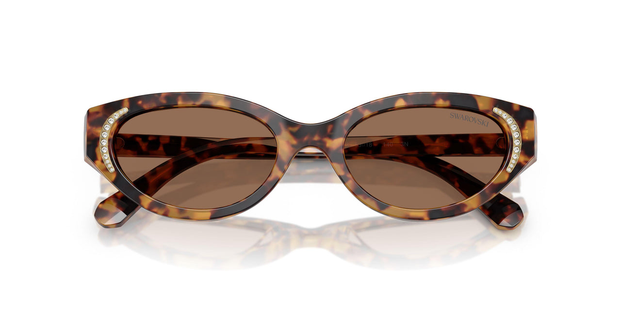 104073 - Tortoise - Dark Brown
