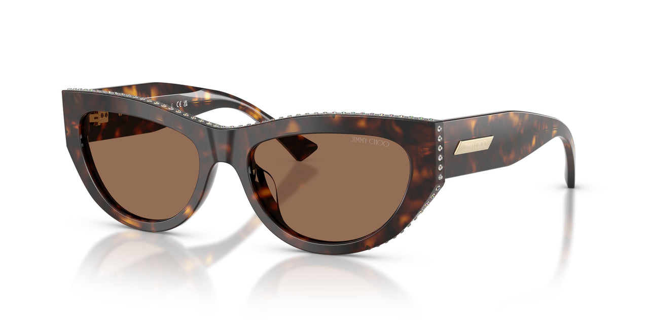 500273 - Tortoise - Dark Brown