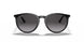 601/8G - Black - Gray Gradient