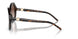 502613 - Tortoise - Gradient Brown