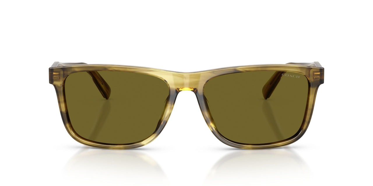 5945/2 - Green - Green Solid