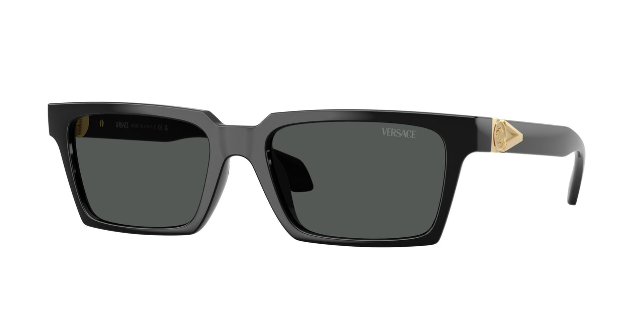 Versace 4490U Sunglasses