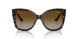 W656T5 - Brown - Brown Gradient Polar