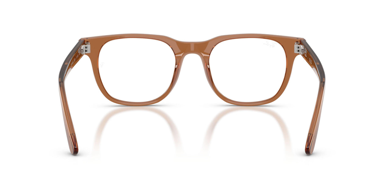 8201 - Brown - Demo Bio