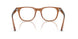 8201 - Brown - Demo Bio