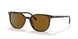 902/33 - Havana - Brown