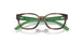 5974 - Tortoise