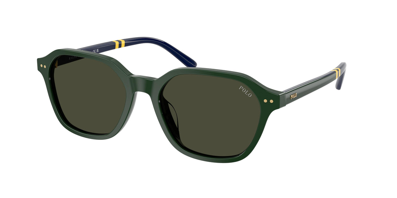 Polo 4234U Sunglasses