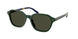 Polo 4234U Sunglasses