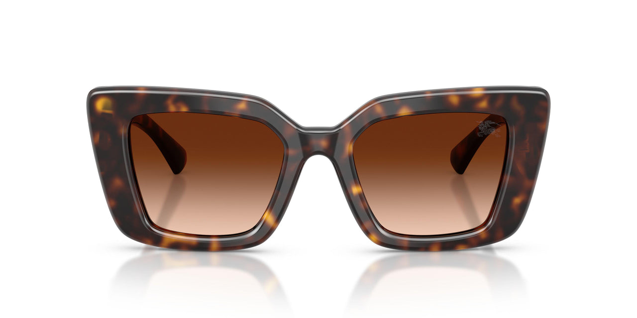 300274 - Brown - Brown Gradient