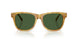 618571 - Tortoise - Bottle Green