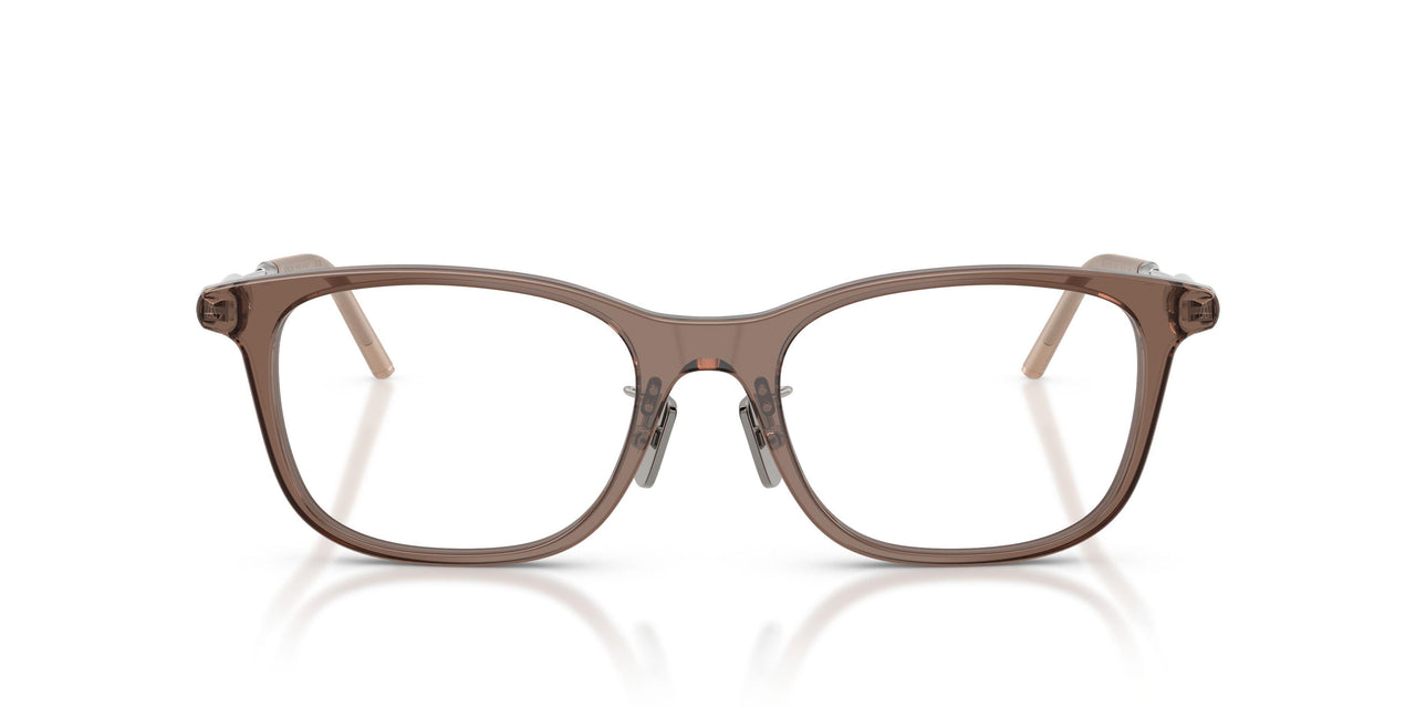 3019 - Brown