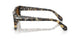 107157 - Tortoise - Brown Polar