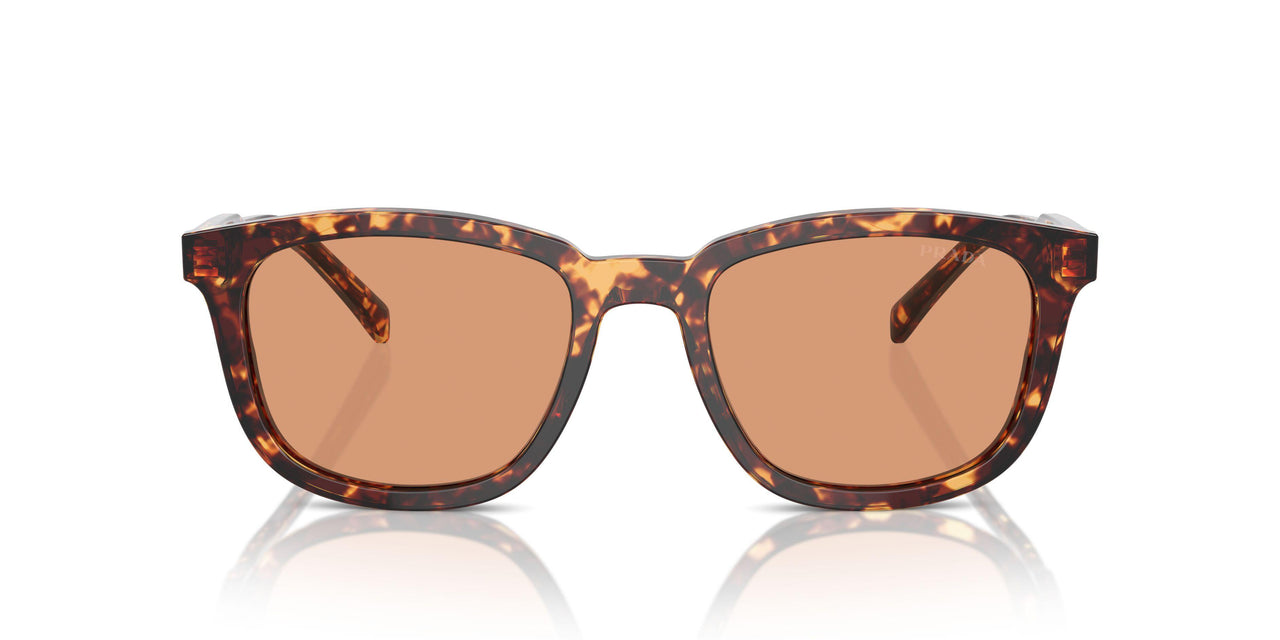 14O07V - Tortoise - Orange