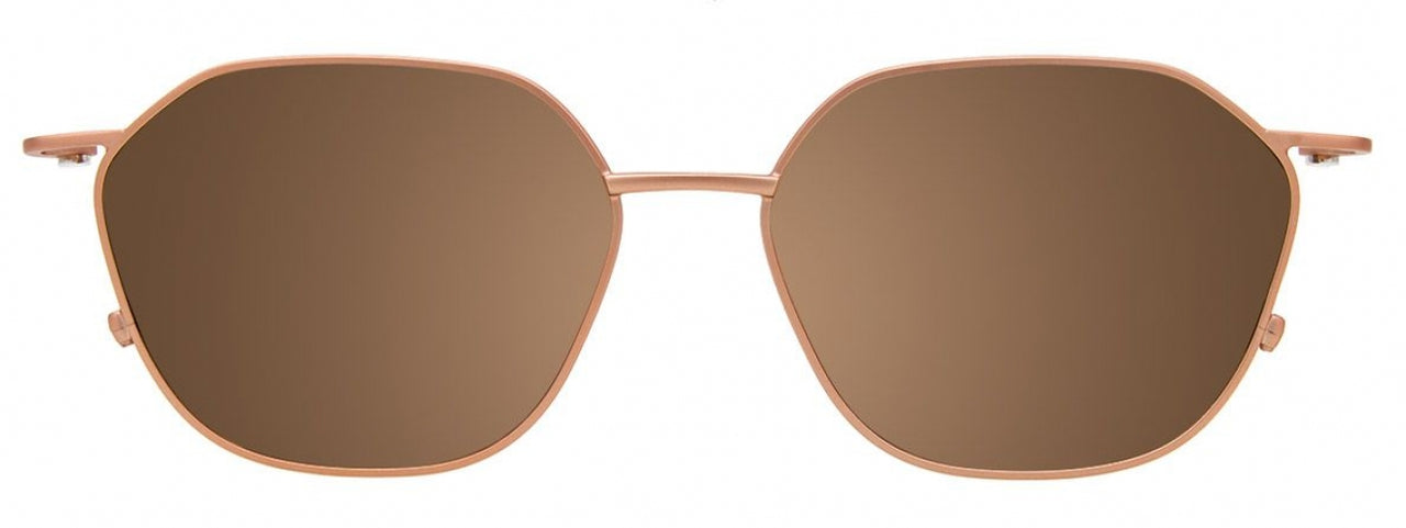 30 - Tortoise & Brushed Copper Steel