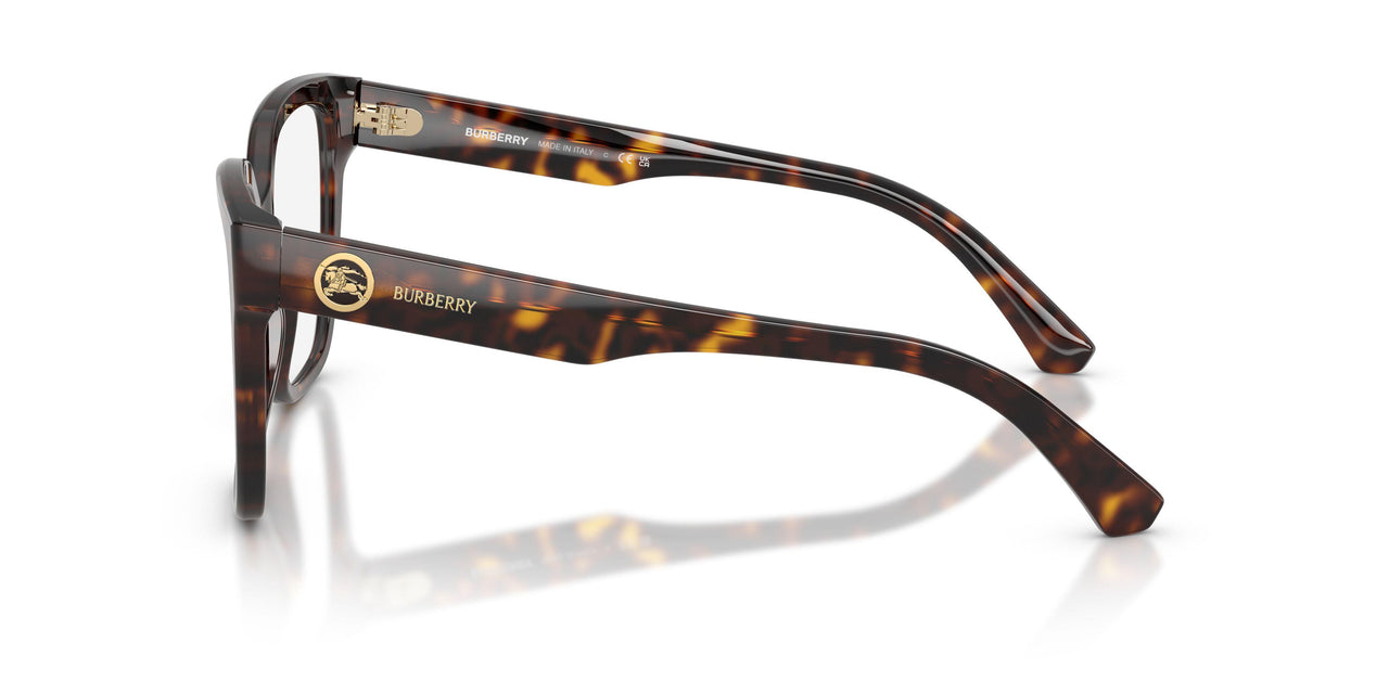 3002 - Brown